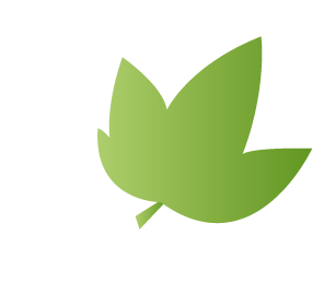 Tilman - Tisane d'allaitement BIO - Fenouil et anis - 24 sachets - Sebio
